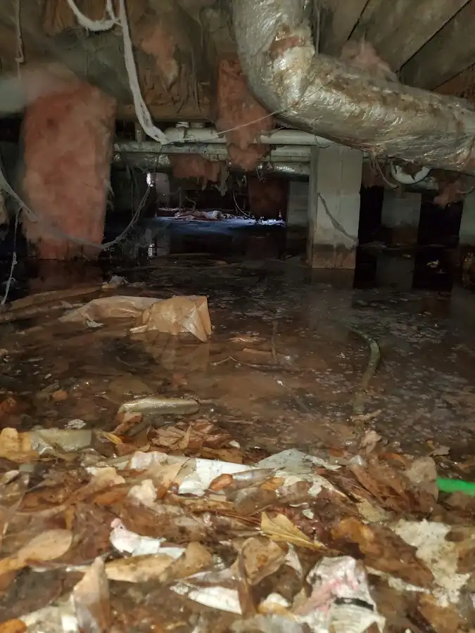 Crawl space flood assessment for Commercial Water Damage Restoration in Scottsdale